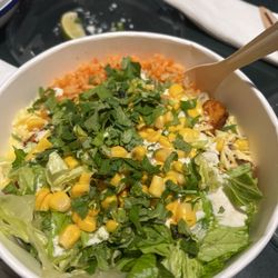 Max & Benito - Vegan bowl with chicken, tofu, cheese, & sour cream!