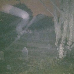 Dead of Night Ghost Tours - Orb moving man and young boy sitting in front of tree