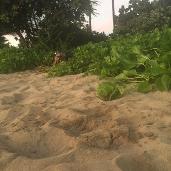 Baby Beach - Beaches Near Me - Lahaina, Hawaii Baby Beach - Beaches Near Me - Lahaina, Hawaii