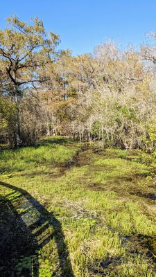 Kirby Storter Roadside Park by null