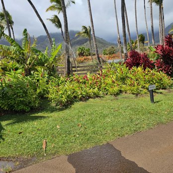 Kumu Farms - Farmers Market Near Me - Wailuku, Hawaii Kumu Farms - Farmers Market Near Me - Wailuku, Hawaii