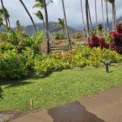 Kumu Farms