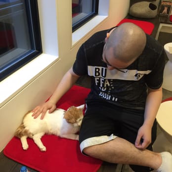 Koneko - Me and a kitty 2 - Breakfast & Brunch Near Me - New York, New York