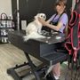 Champion Cuts