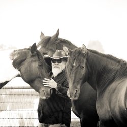 Indigo Equine