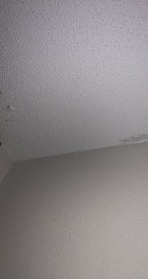 Holiday Inn Express Brentwood South - Franklin by null