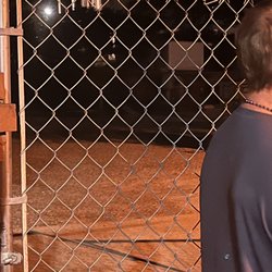 Ghost Walk of Old Wilmington - Orbs!