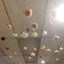 Cool ceiling roses! Cool ceiling roses!