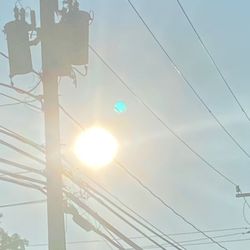 Harry's Place - Sun