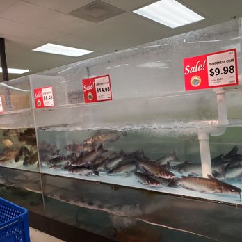 County Market - Live Fish - Grocery Near Me - Antioch, California County Market - Live Fish - Grocery Near Me - Antioch, California