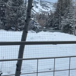 Aspen Meadows Resort  - We are right next to buttermilk