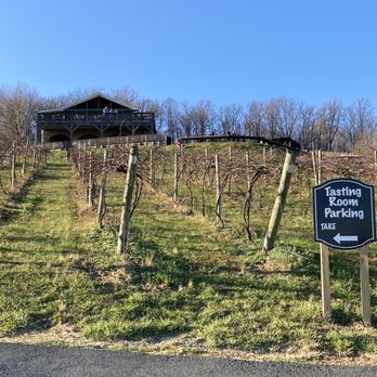 Bluemont Vineyard - Nice little workout to walk up to tasting room. - Venues & Event Spaces Near Me - Bluemont, Virginia Bluemont Vineyard - Nice little workout to walk up to tasting room. - Venues & Event Spaces Near Me - Bluemont, Virginia