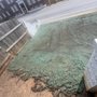 Tyco's Hydroseeding & Excavation