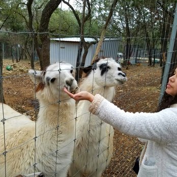Austin Zoo - Zoos Near Me - Austin, Texas