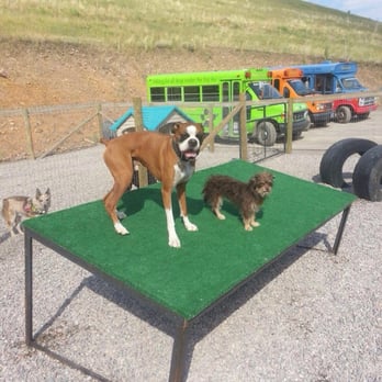 Alpine Canine - The pic they texted us of our Roxy and Ranger! - Pet Boarding Near Me - Missoula, Montana Alpine Canine - The pic they texted us of our Roxy and Ranger! - Pet Boarding Near Me - Missoula, Montana