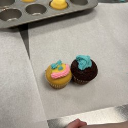 Lorain County Community College - Cupcakes