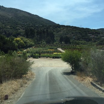 Drought Resistant Nursery - Nurseries & Gardening Near Me - Carmel, California