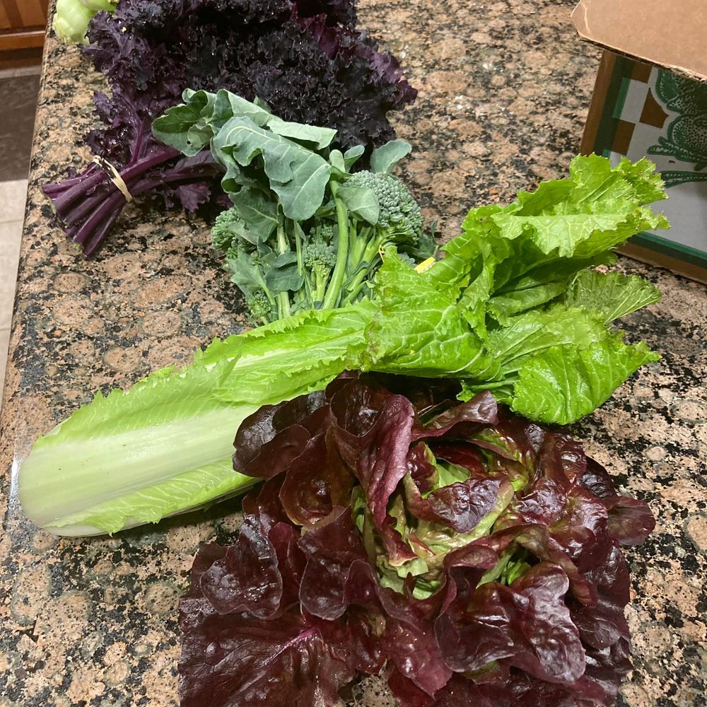Ferrer Farm - Doesnt get any fresher....picked this morning - Farms Near Me Ferrer Farm - Doesnt get any fresher....picked this morning - Farms Near Me