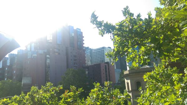 Good Heavens Rooftop Bar by null