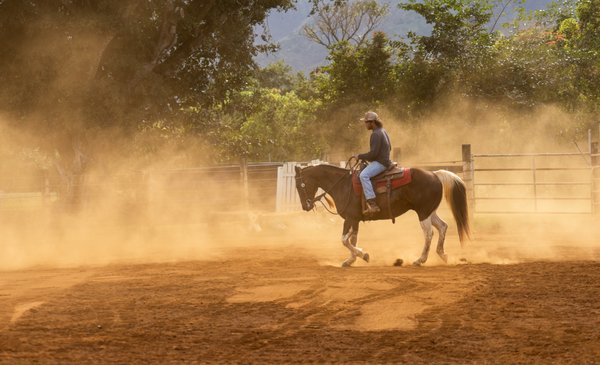 Princeville Ranch by null