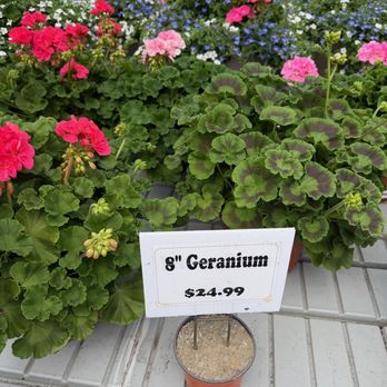 Paley’s Farm Market - Farmers Market Near Me - Sharon, Connecticut
