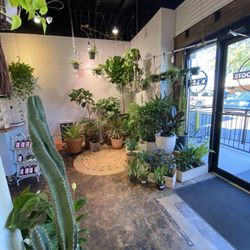 Urban Roots BTX