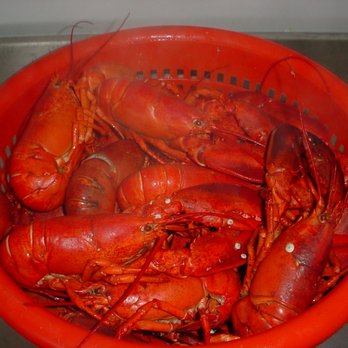 Atlantic Edge Lobster - basket full of cooked lobsters, all ready to eat! - Seafood Markets Near Me - Boothbay Harbor, Maine Atlantic Edge Lobster - basket full of cooked lobsters, all ready to eat! - Seafood Markets Near Me - Boothbay Harbor, Maine