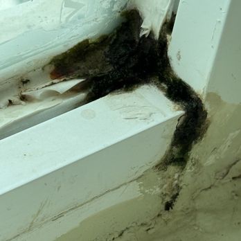 Hard Rock Hotel - Disgusting black mold in the rooms. - Hotels Near Me - Cancún, ROO