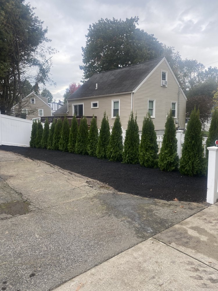 ALL STAR LANDSCAPING & MASONRY SERVICE Updated August 2024 188