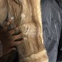 Photo of Northern Furs Fashion