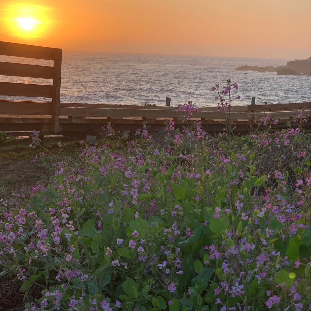 Windrush Inn - Sunset view direct across the street from Windrush Inn - Hotels Near Me - Cambria, California Windrush Inn - Sunset view direct across the street from Windrush Inn - Hotels Near Me - Cambria, California
