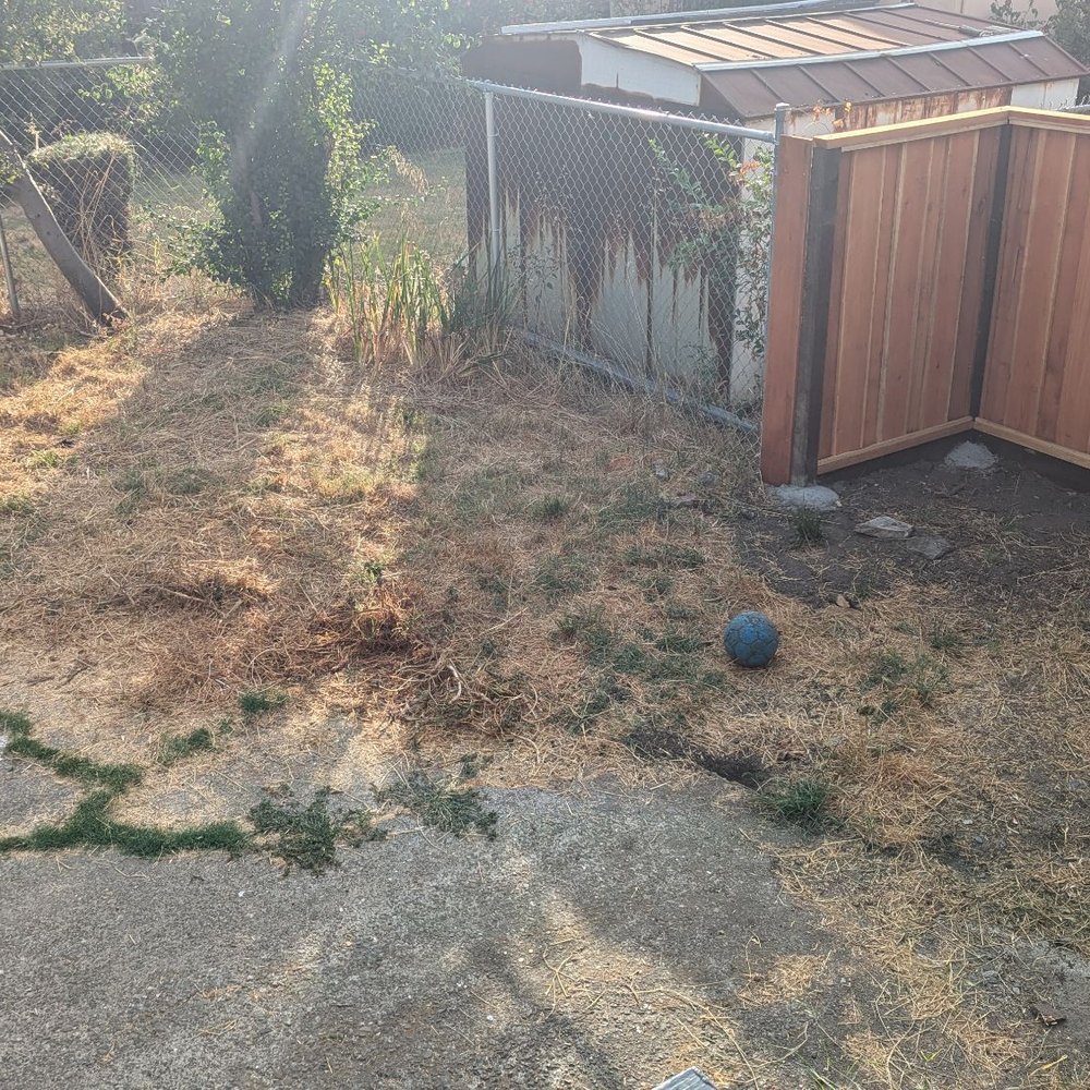 Turf World - Before - Artificial Turf Near Me - San Leandro, California Turf World - Before - Artificial Turf Near Me - San Leandro, California