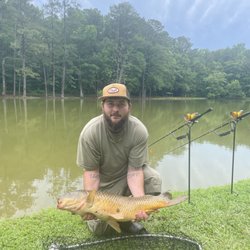 Luckys Katfish Pond