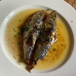 The Dering Arms - Grilled Mediterranean sardines