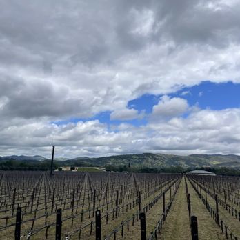 Oakville Wine Merchant - Wine Tasting Room Near Me - Oakville, California Oakville Wine Merchant - Wine Tasting Room Near Me - Oakville, California