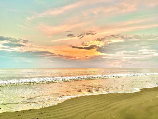 Jekyll Island by null