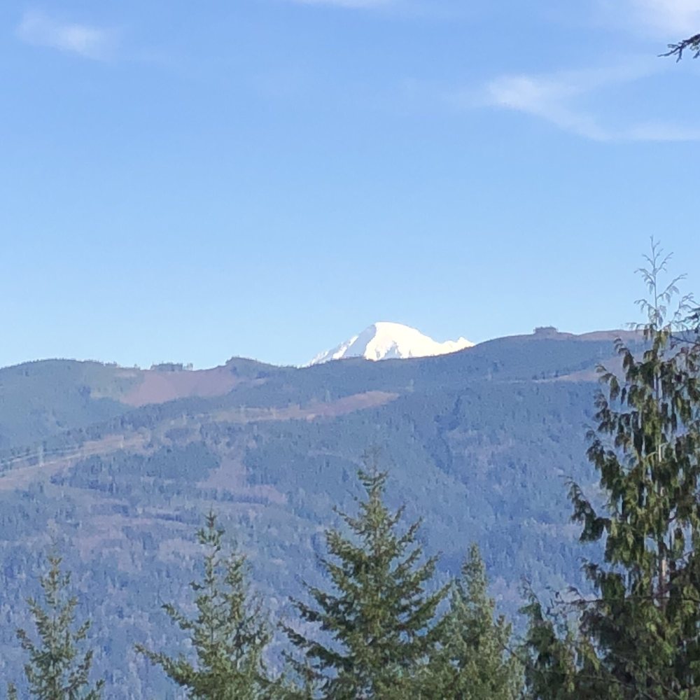 Lookout Mountain Forest Preserve - Hiking Near Me - Bellingham, Washington