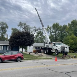 3n1 Tree Service