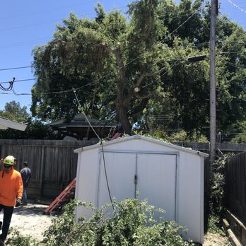 Artistic Tree Care - Tree Services Near Me Artistic Tree Care - Tree Services Near Me