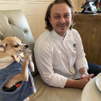 Dogue - Maurice compliments the chef! - Pet Stores Near Me - San Francisco, California