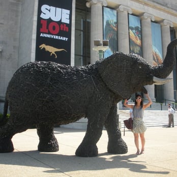 Field Museum - Statue celebrating Mammoths! the special exhibit - Museums Near Me - Chicago, Illinois Field Museum - Statue celebrating Mammoths! the special exhibit - Museums Near Me - Chicago, Illinois