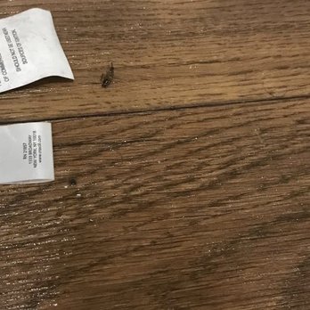 Pacific View Apartment Homes - Roaches after second fog treatments. - Apartments Near Me - Long Beach, California