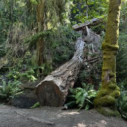 Schmitz Preserve Park