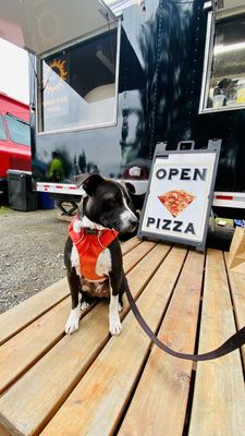 Solstice Wood Fire Pizza Truck by null