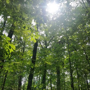 Holden Arboretum - Lots of shade for those who need it - Botanical Gardens Near Me - Kirtland, Ohio