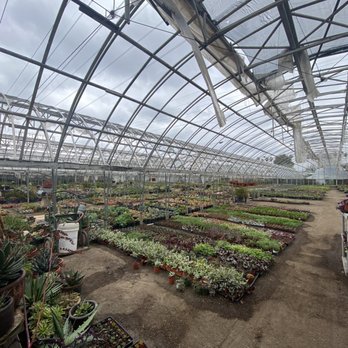 Mezcala Nursery - Tents filled with plants for dayssss - Nurseries & Gardening Near Me - Long Beach, California Mezcala Nursery - Tents filled with plants for dayssss - Nurseries & Gardening Near Me - Long Beach, California