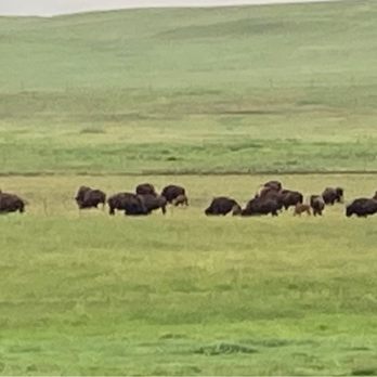 Terry Bison Ranch Resort - View from our rv site - Venues & Event Spaces Near Me - Cheyenne, Wyoming Terry Bison Ranch Resort - View from our rv site - Venues & Event Spaces Near Me - Cheyenne, Wyoming
