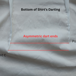 Wardrobe Clinic - Zoom in of darting issues at the bottom of the shirt