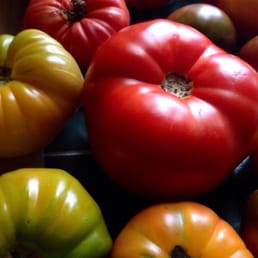 Heirloom tomatoes. Sweet like sugar. Heirloom tomatoes. Sweet like sugar.