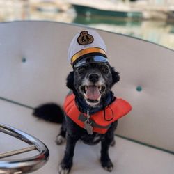 Huntington Harbor Boat Rentals